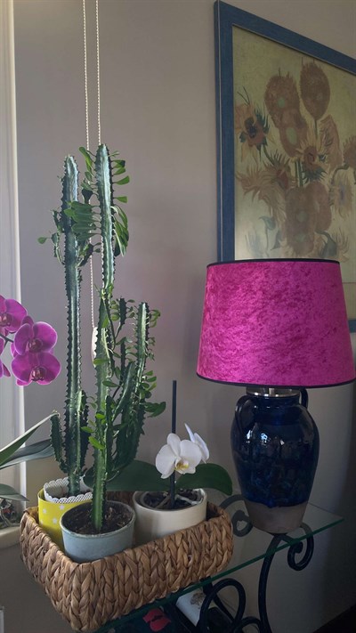 Laci Evenez Küp Abajur