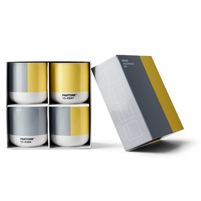 Pantone Cortado Thermo Mug Color of  the Year 2023