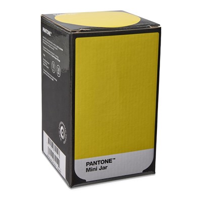 Pantone Mini Vazo 
