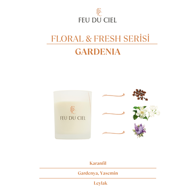 Premium Gardenia Mum