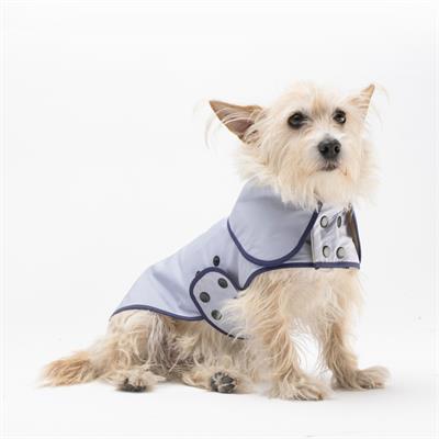Puddleproof Dandy Köpek Yağmurluğu