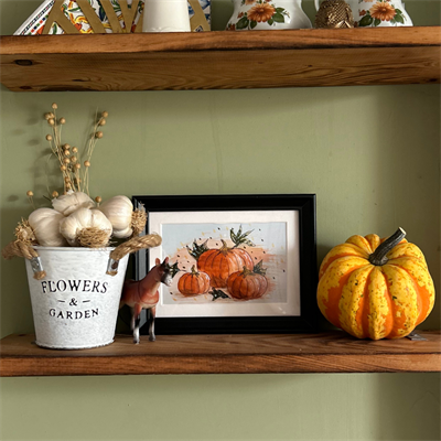 Pumpkins - Dijital Baskı