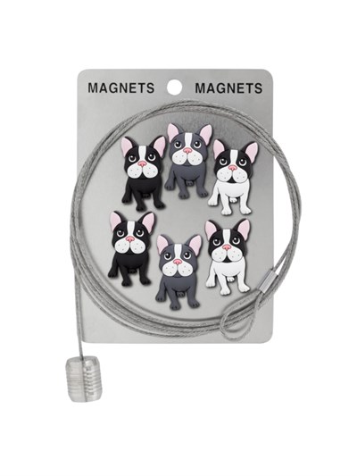 Pylones Fotoğraf Askı Kablosu Ve Mıknatıslar - Magnetic Cable Buldog