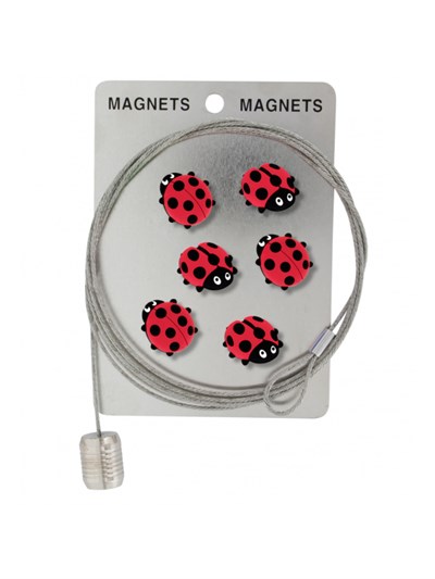 Pylones Fotoğraf Askı Kablosu Ve Mıknatıslar - Magnetic Cable Uğur Böceği
