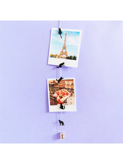 Pylones Fotoğraf Askı Kablosu Ve Mıknatıslar - Magnetic Cable Kedi