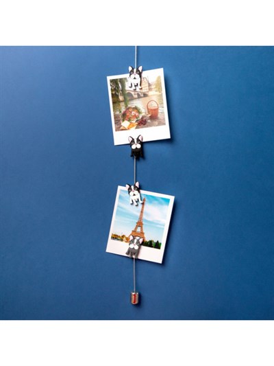 Pylones Fotoğraf Askı Kablosu Ve Mıknatıslar - Magnetic Cable Buldog