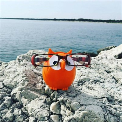 Pylones Gözlük Tutucu - Owl
