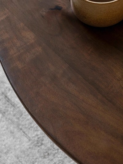 Sculpt Mango Ağacı Orta Sehpa