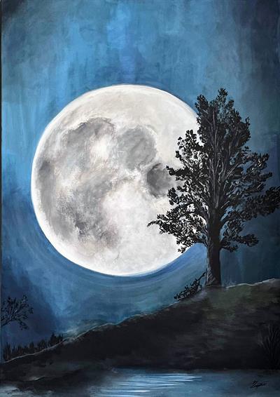 Sessiz Bir Gece