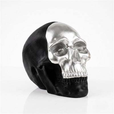 Skull Silver Curtain Heykel
