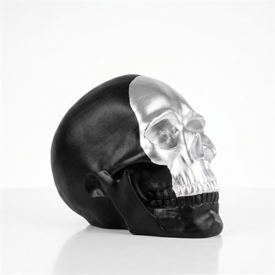 Skull Silver Curtain Heykel