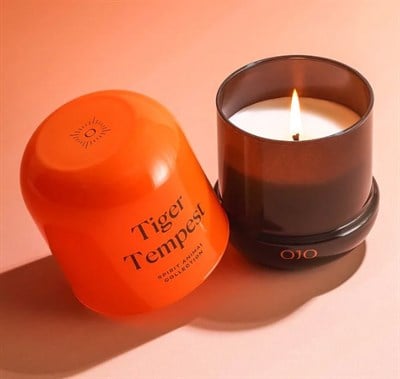 Spirit Animal Collection - Tiger Tempest