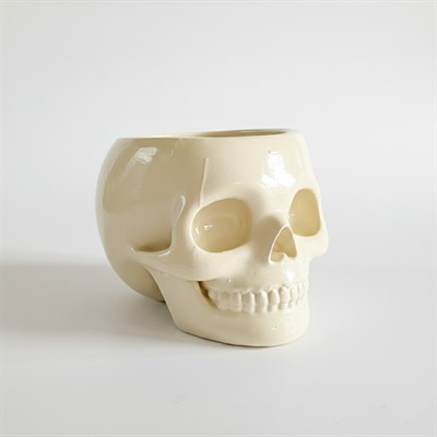 The Skull Bowl | Kemik