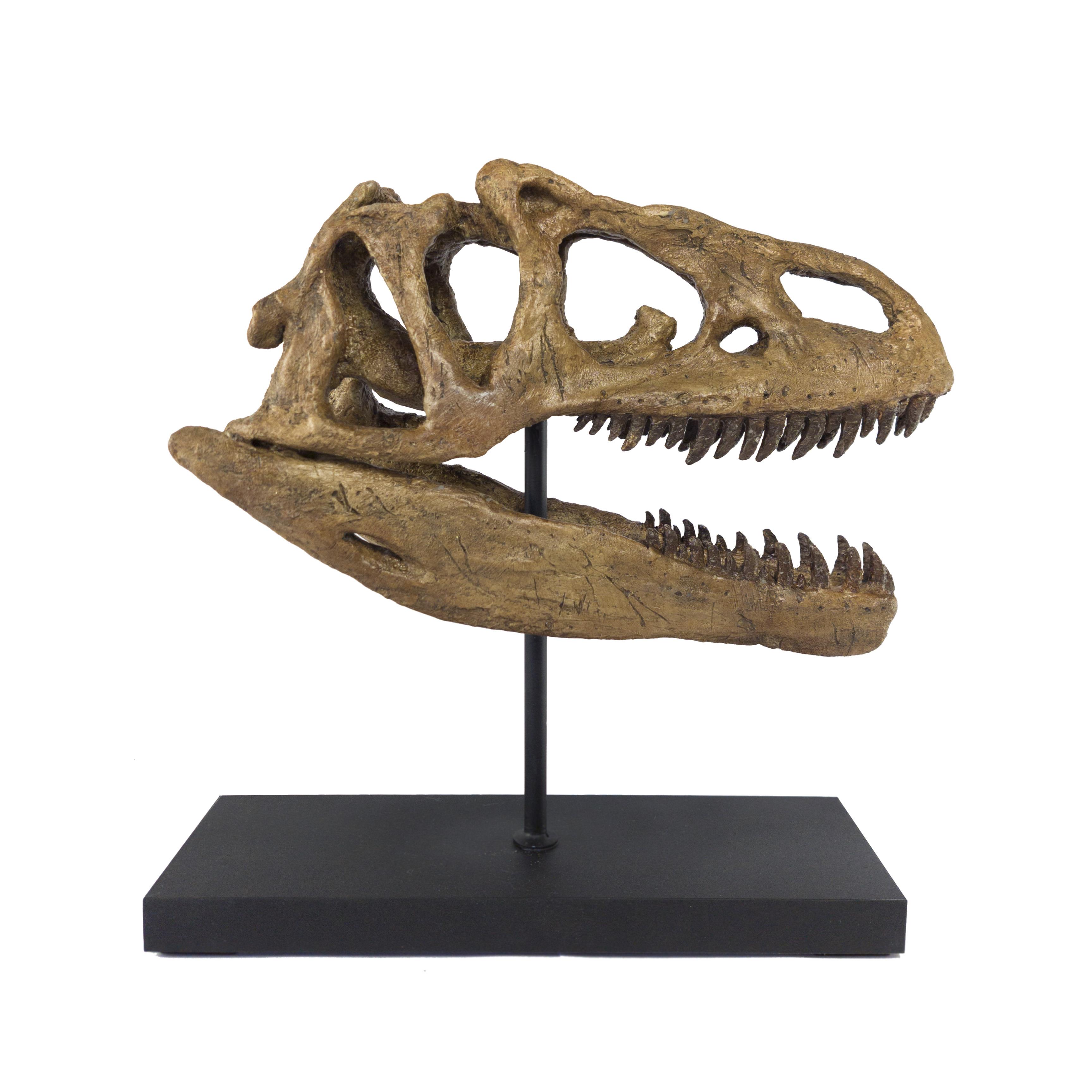 Allosaurus Büyük Heykel