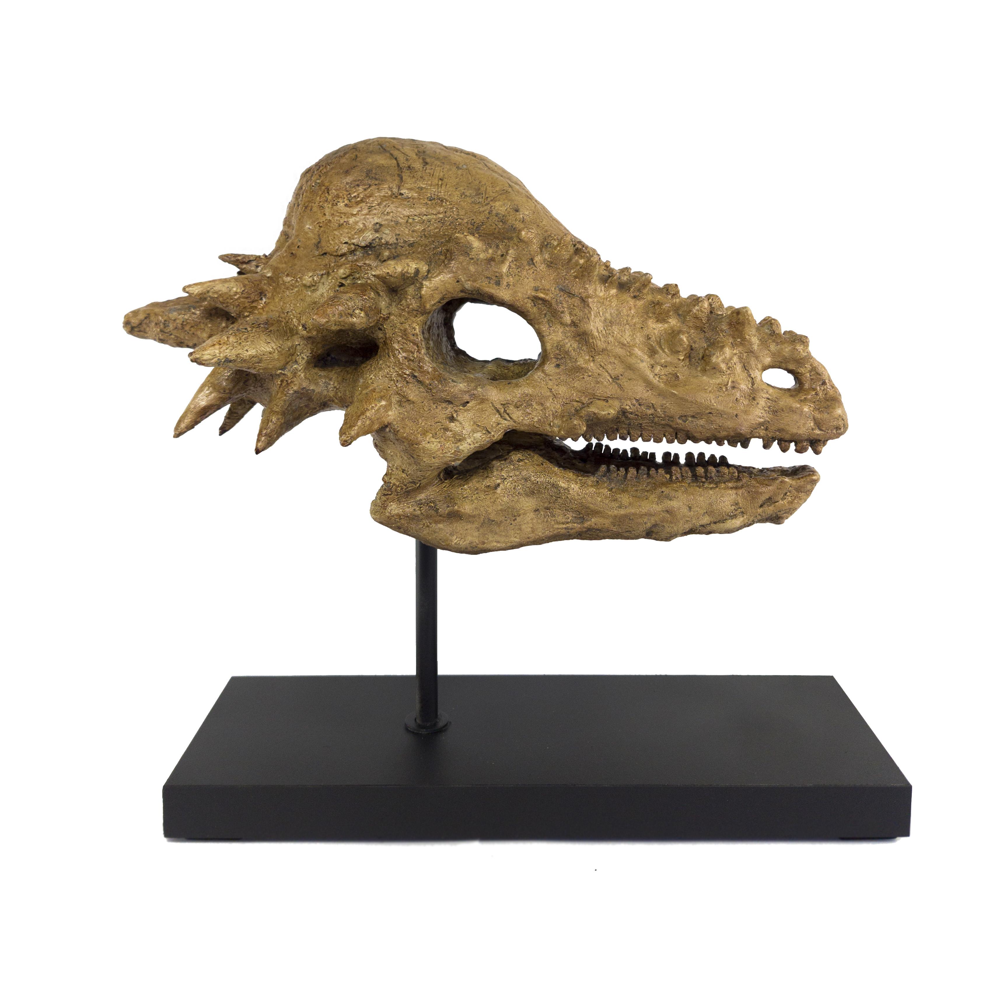 Pachycephalosaurus Büyük Heykel