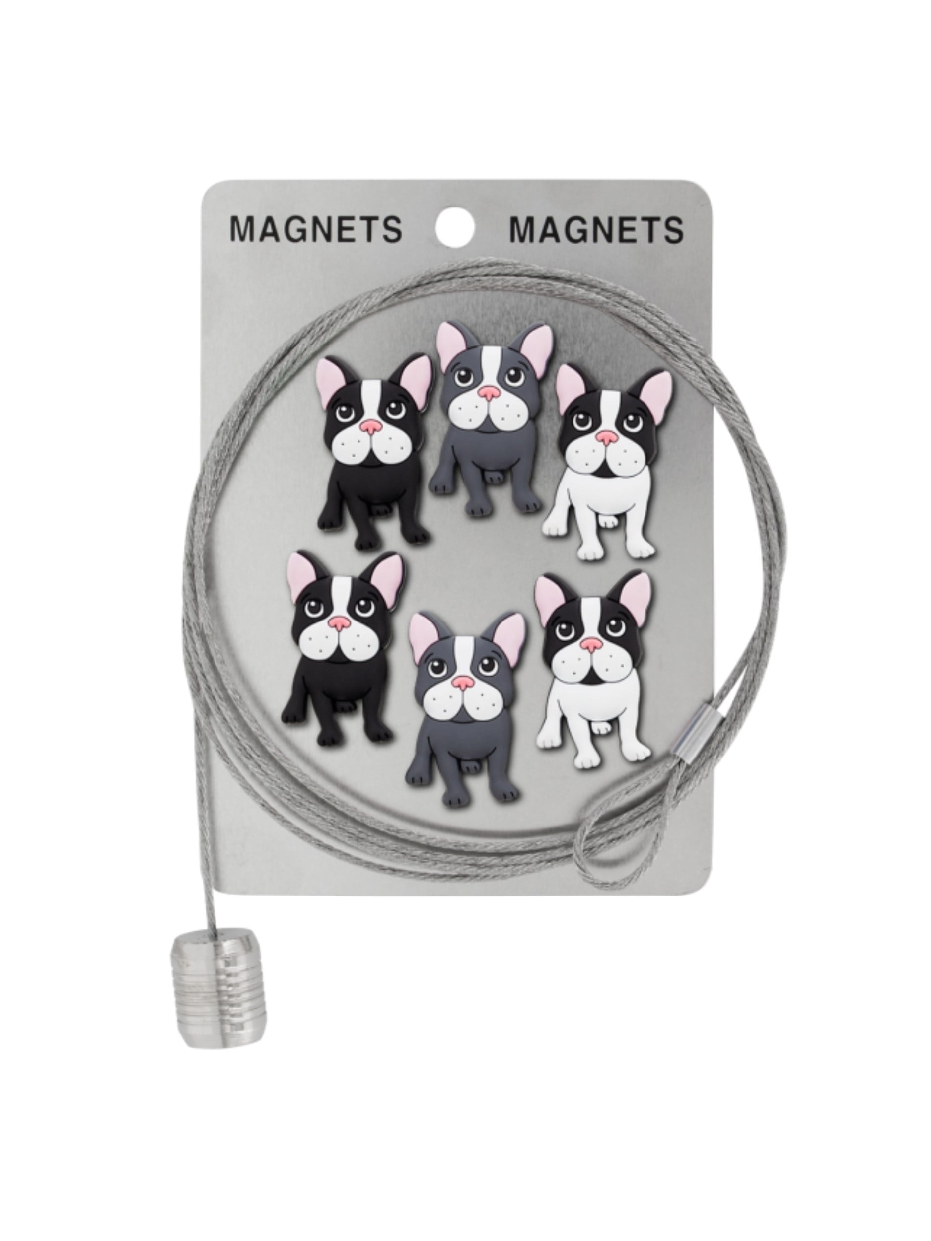 Pylones Fotoğraf Askı Kablosu Ve Mıknatıslar - Magnetic Cable Buldog