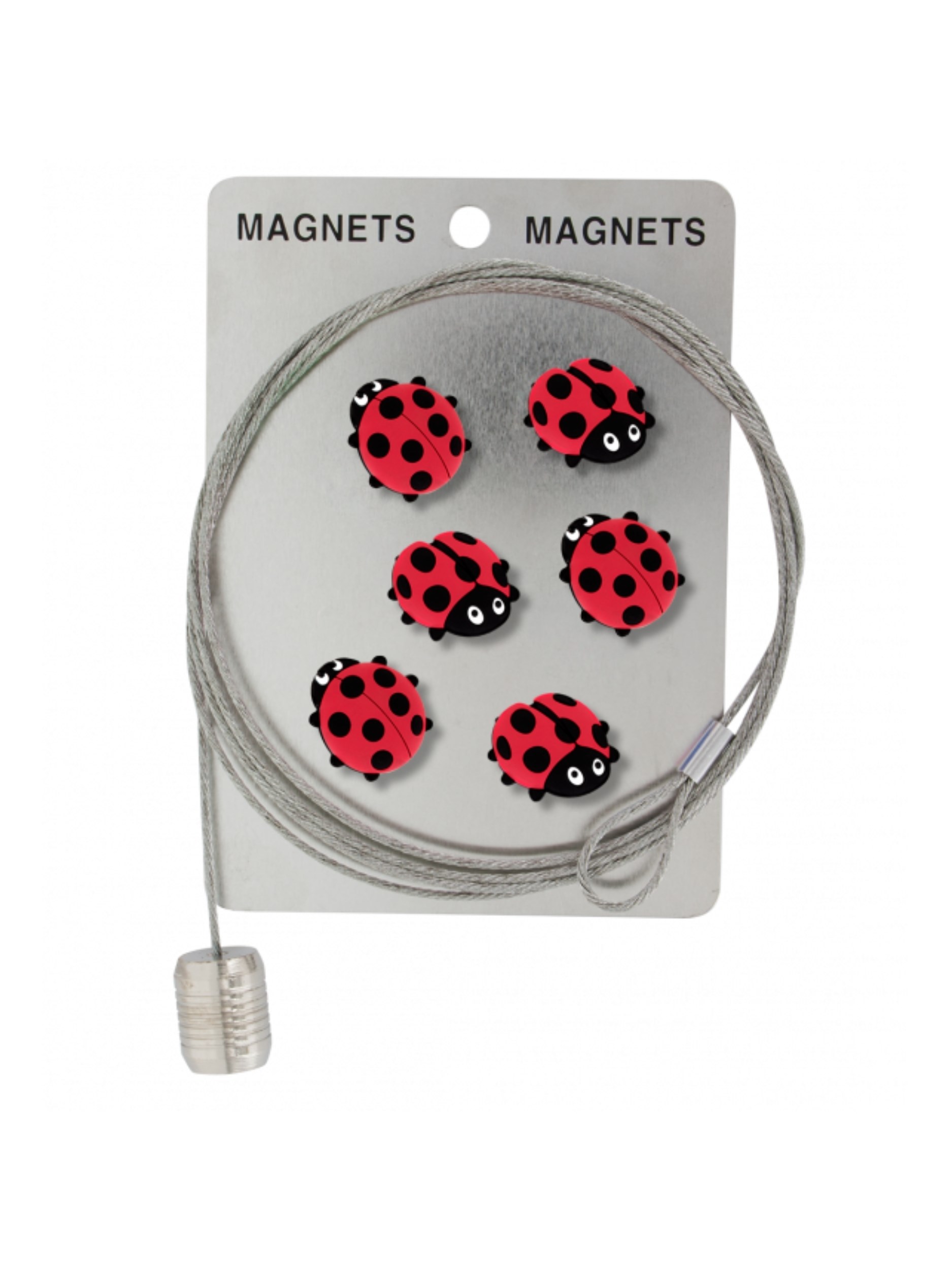 Pylones Fotoğraf Askı Kablosu Ve Mıknatıslar - Magnetic Cable Uğur Böceği