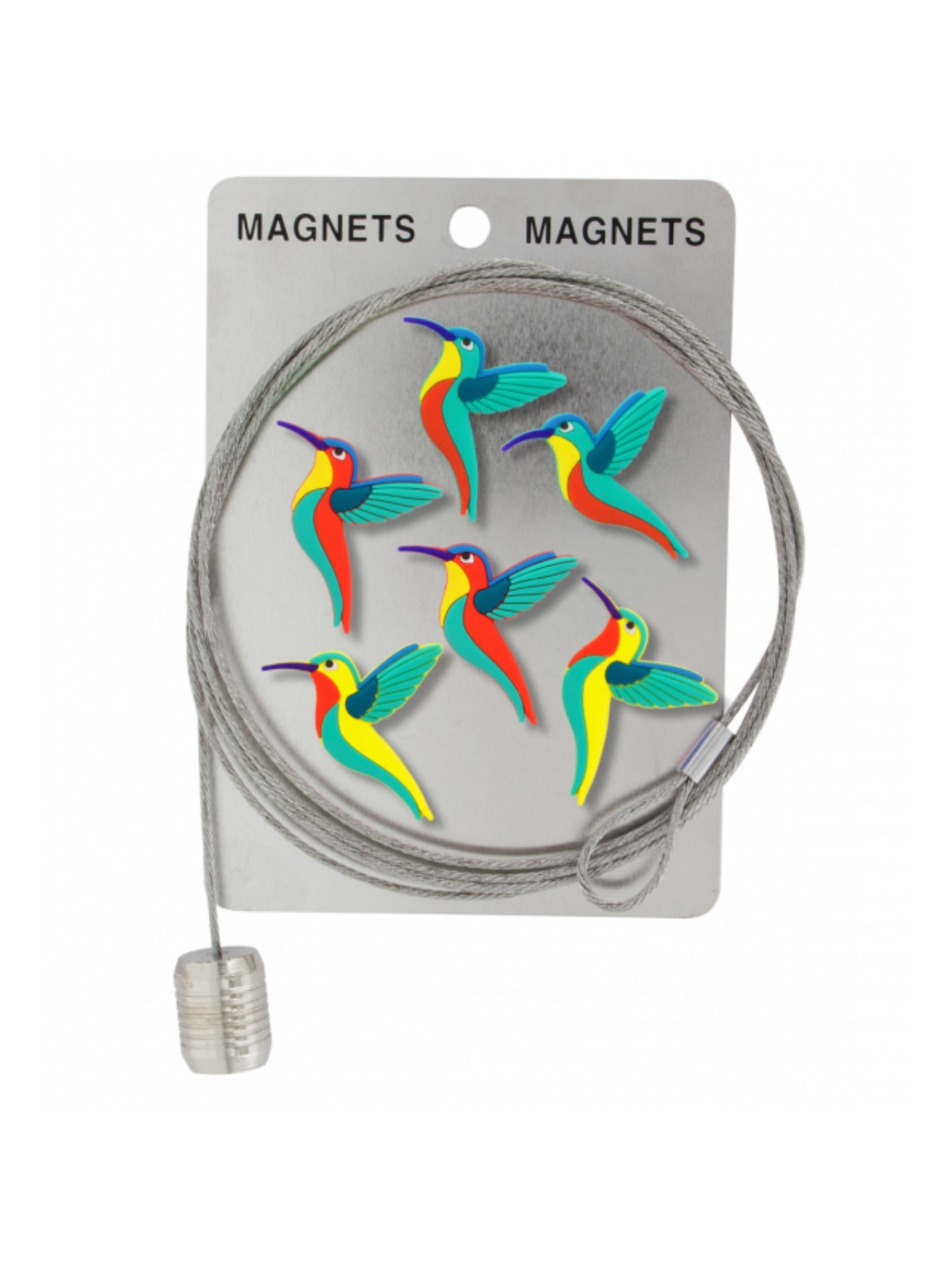 Pylones Fotoğraf Askı Kablosu Ve Mıknatıslar - Magnetic Cable Sinek Kuşu
