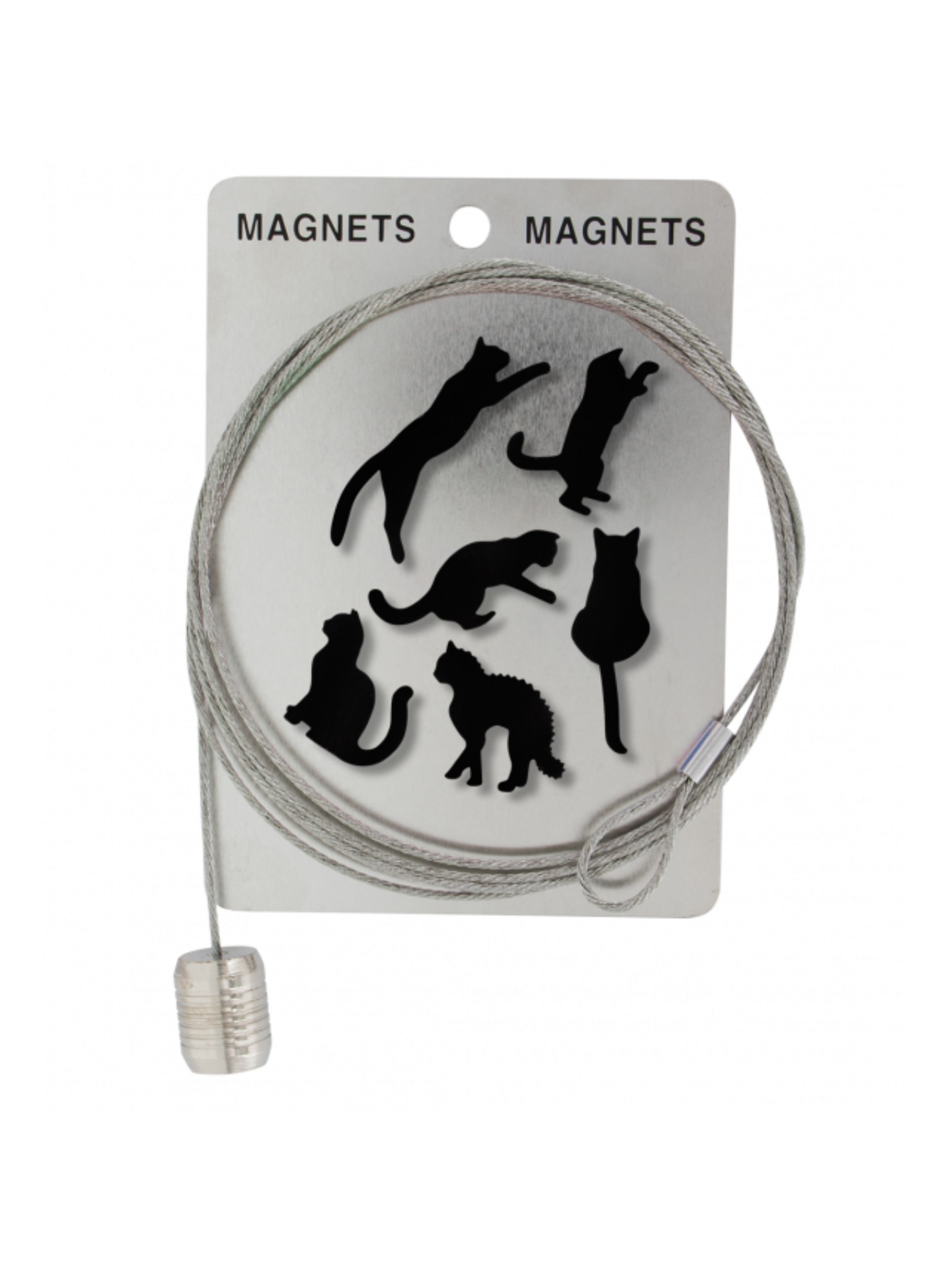 Pylones Fotoğraf Askı Kablosu Ve Mıknatıslar - Magnetic Cable Kedi