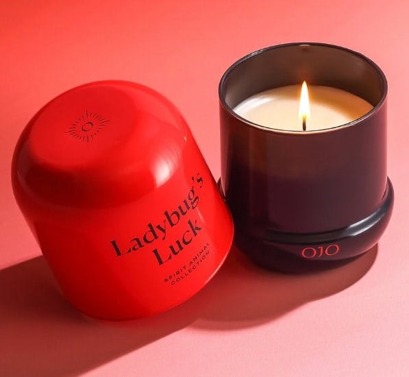 Spirit Animal Collection - Ladybug’s Luck