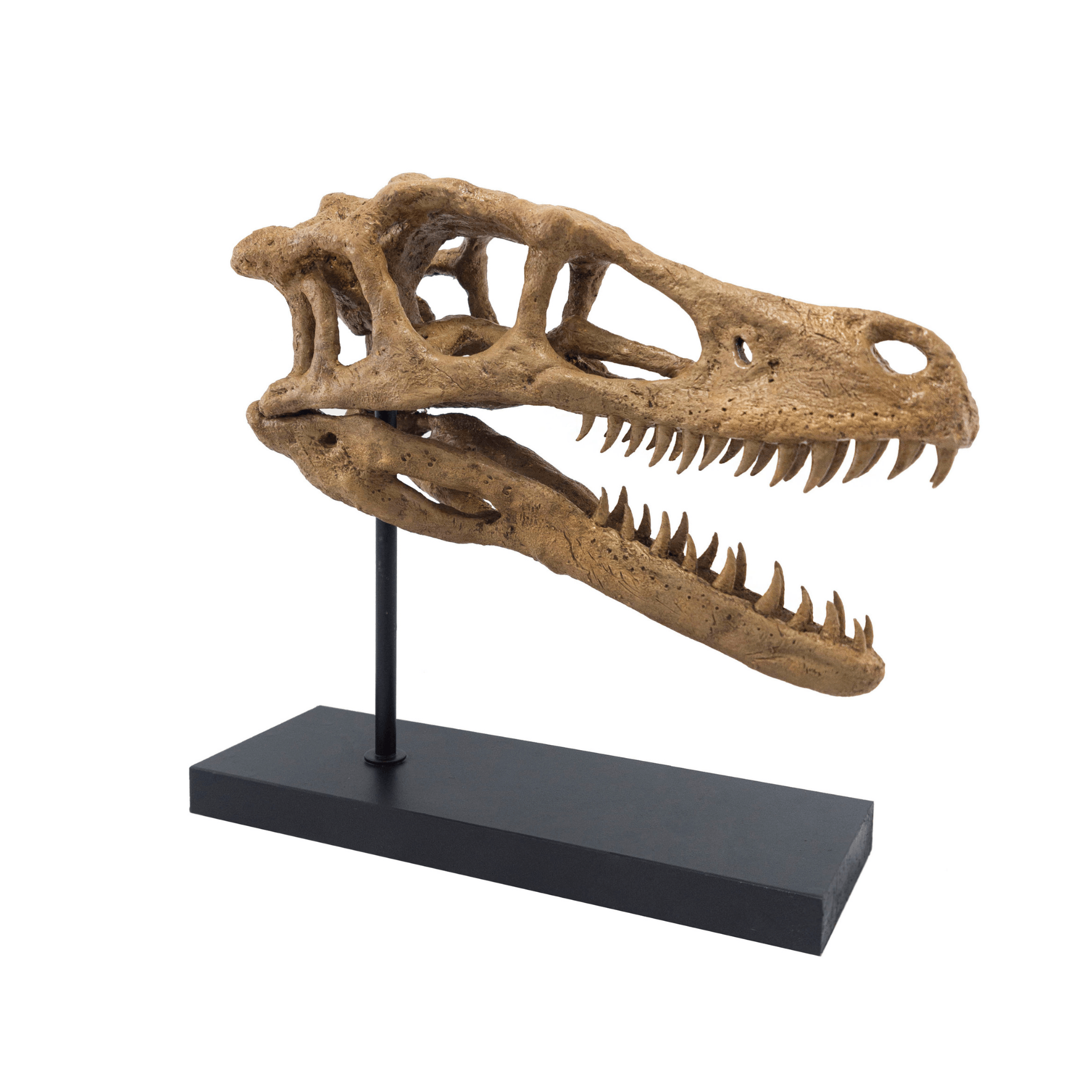 Velociraptor Heykeli