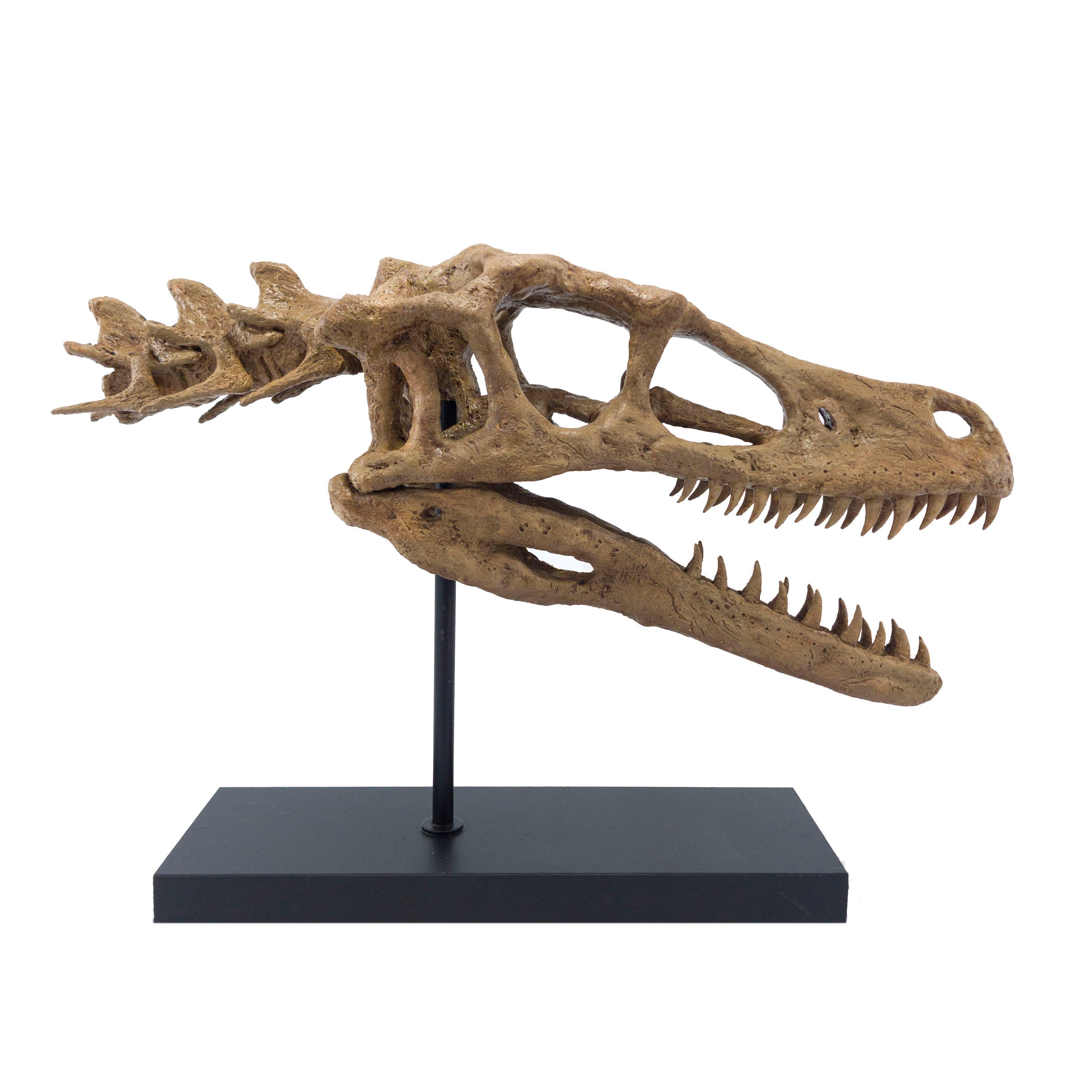 Velociraptor - Omurgalı Heykeli