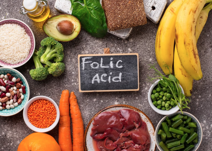 anne adayları folik asit