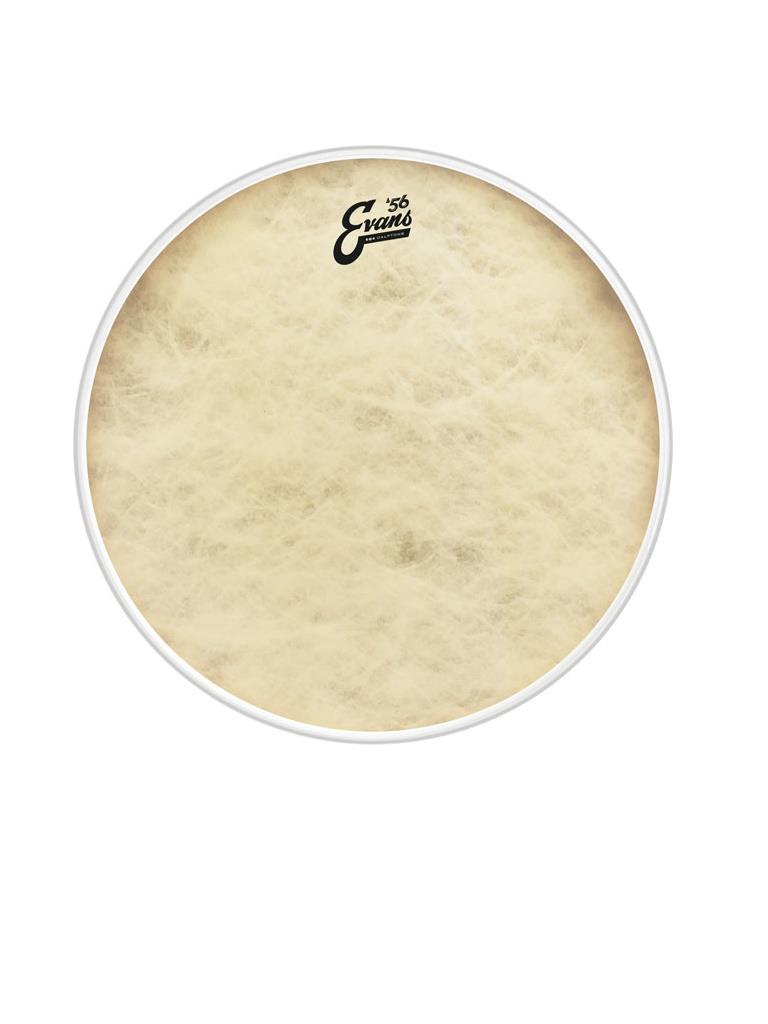 EVANS BD22GB4CT 22