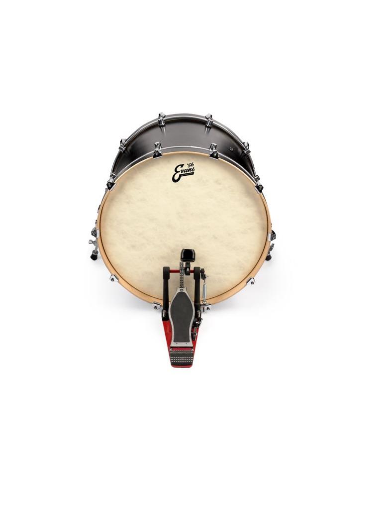 EVANS BD22GB4CT 22