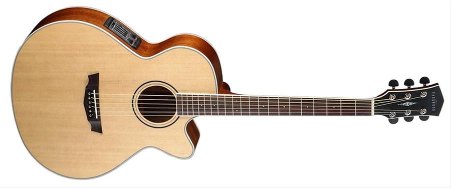 ELEKTRO AKUST?K CUTAWAY G?TAR, PARKWOOD SER?S?, 