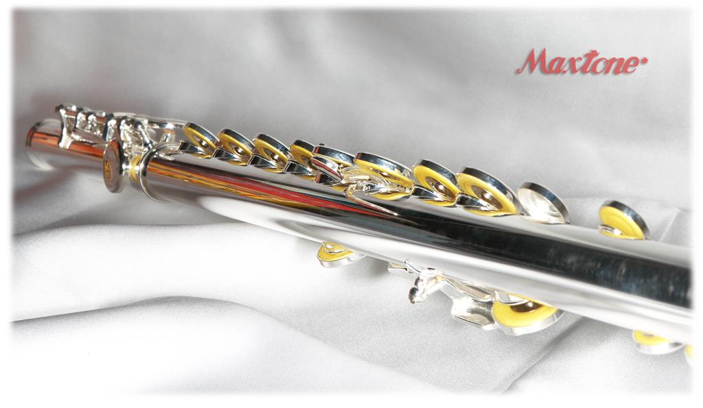 FLÜT C GÜMÜŞ KAPLAMA KUTULU : MAXTONE