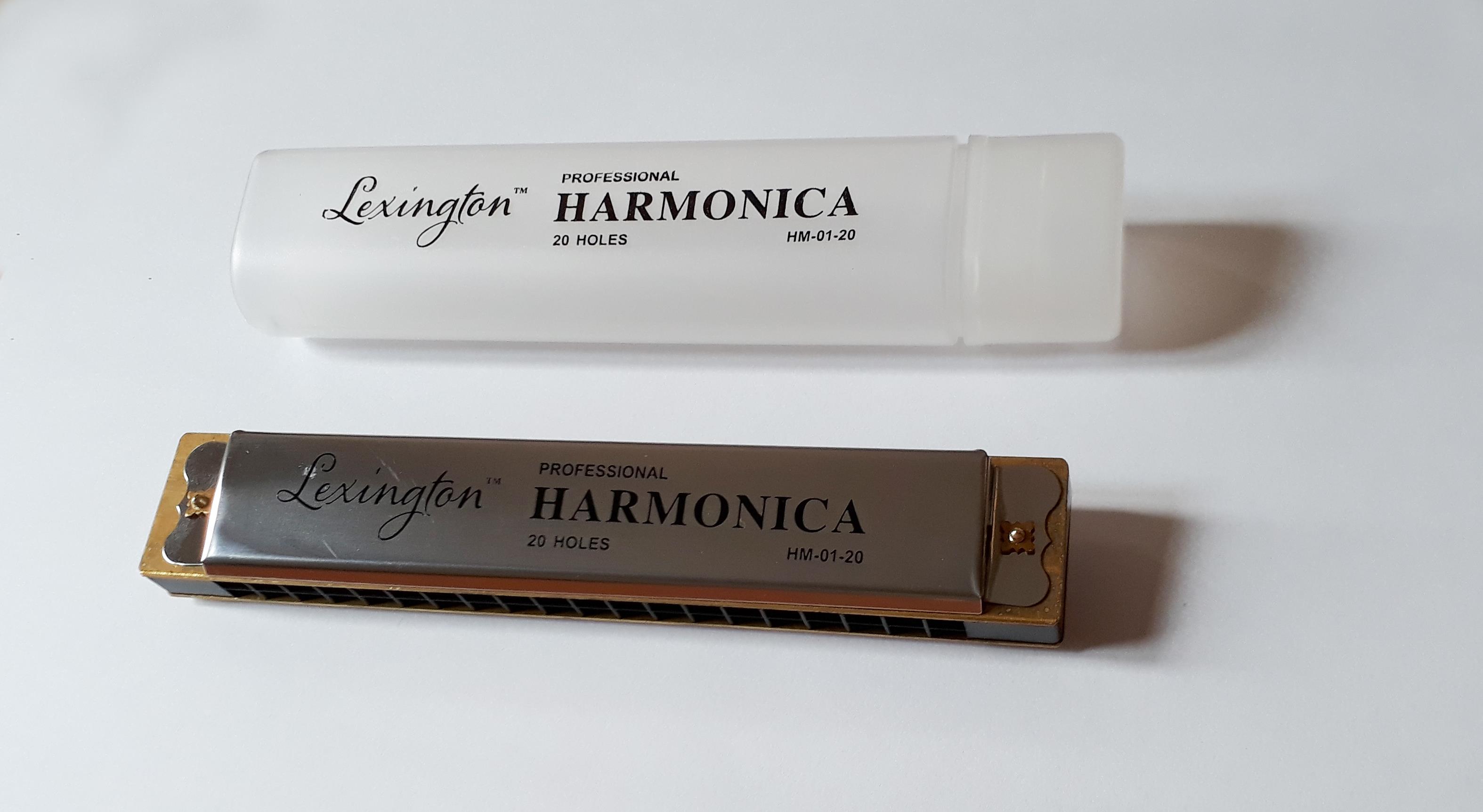 MIZIKA 20 DEL?K  PROFESSIONAL HARMONICA