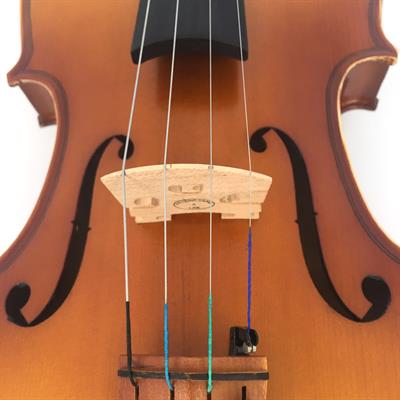 KINGLOS KNG PJA-1003 KEMAN, 4/4, 4 FIXLİ