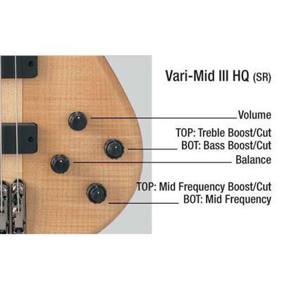 IBANEZ SR1005EFMNTF BASS GİTAR, ÇANTALI, 5 TELLİ