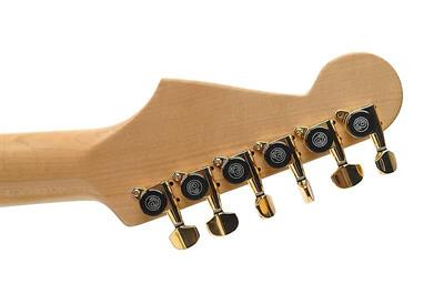 PLANETWAVES PWAT6R3 ELEKTRO GİTAR KULAĞI DÜZ SAĞ-GOLD 6ADET SET 