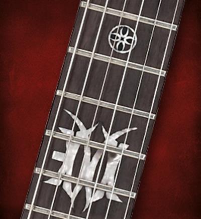 ELEKTRO GİTAR, SİYAH, EMG 81 & 85 Active (H-H)