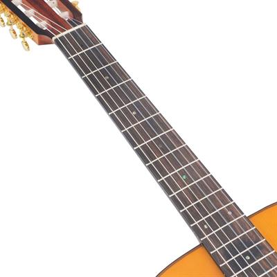 VALENCIA VA434NA  KLASİK GİTAR, 4/4