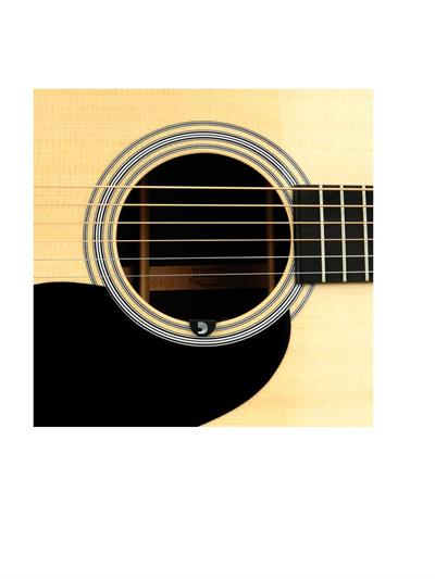 PLANETWAVES PWCT15 SOUNDHOLE TUNER