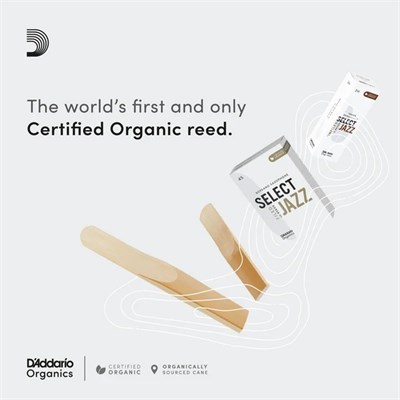 ORGANIC SELECT JAZZ FILED  ALTO SAKSAFON KAMIŞI (3LÜ PAKET) NO:2 MEDIUM