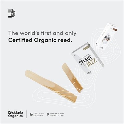 ORGANIC SELECT JAZZ FILED  SOPRANO SAKSAFON KAMIŞI (3LÜ PAKET) NO:2 MEDIUM