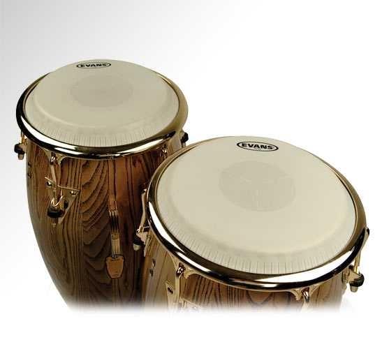 DER? 9 3/4 TR?-CENTER KONGA