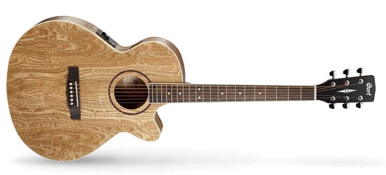 ELEKTRO AKUST?K G?TAR , NAT