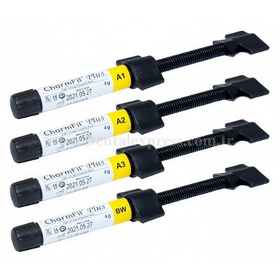 DentKist CharmFil Plus