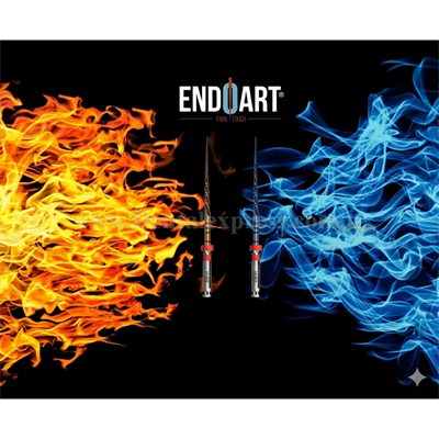 EndoArt Smart Touch Action Kanal Eğesi