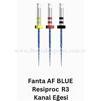 Fanta AF BLUE Resiproc R3 Kanal Eğesi