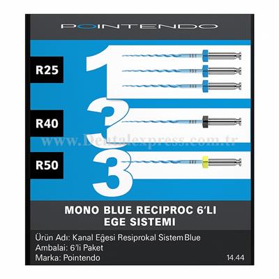 Pointendo Mono Blue Resiprokal Eğe Sistemi 6lı
