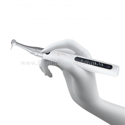 Woodpecker EndoPace Endomotor