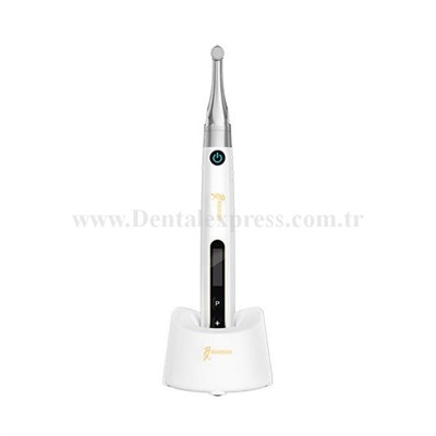 Woodpecker EndoPace Endomotor