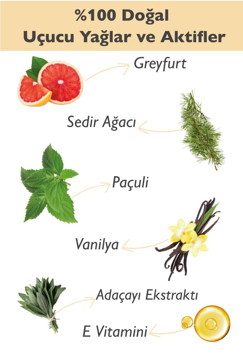 Doğal Roll-on Deodorant Greyfurt & Paçuli & Sedir Ağacı & Vanilya