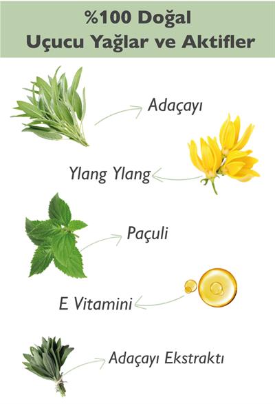 Doğal Roll-on Deodorant Adaçayı & Paçuli & Ylang Ylang